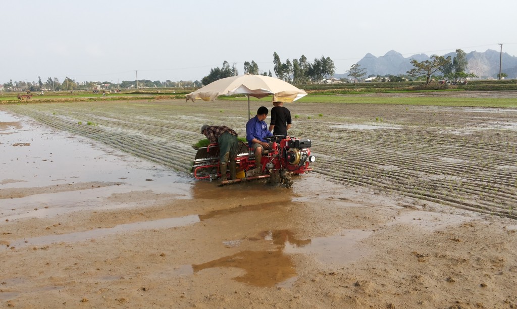 May cay lua HAMCO - Viet Nam