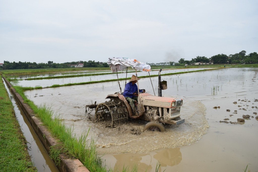 May lam dat - may cay